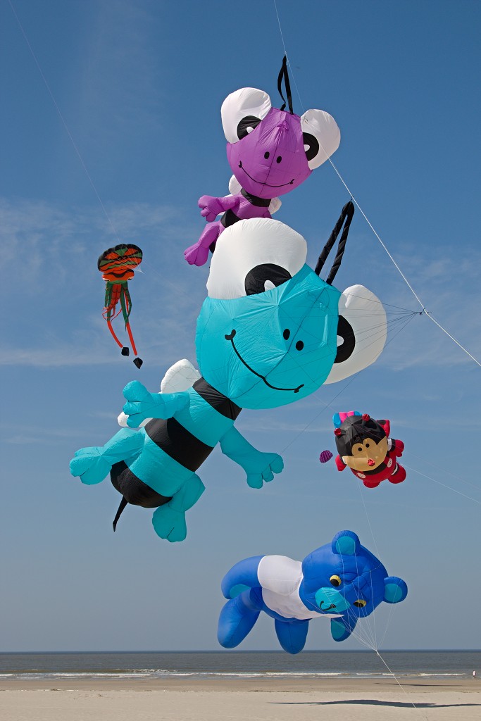 Cerfs-Volants vliegerfestival festival festiviteit evenement event berck sur mer vlieger speelgoed strand